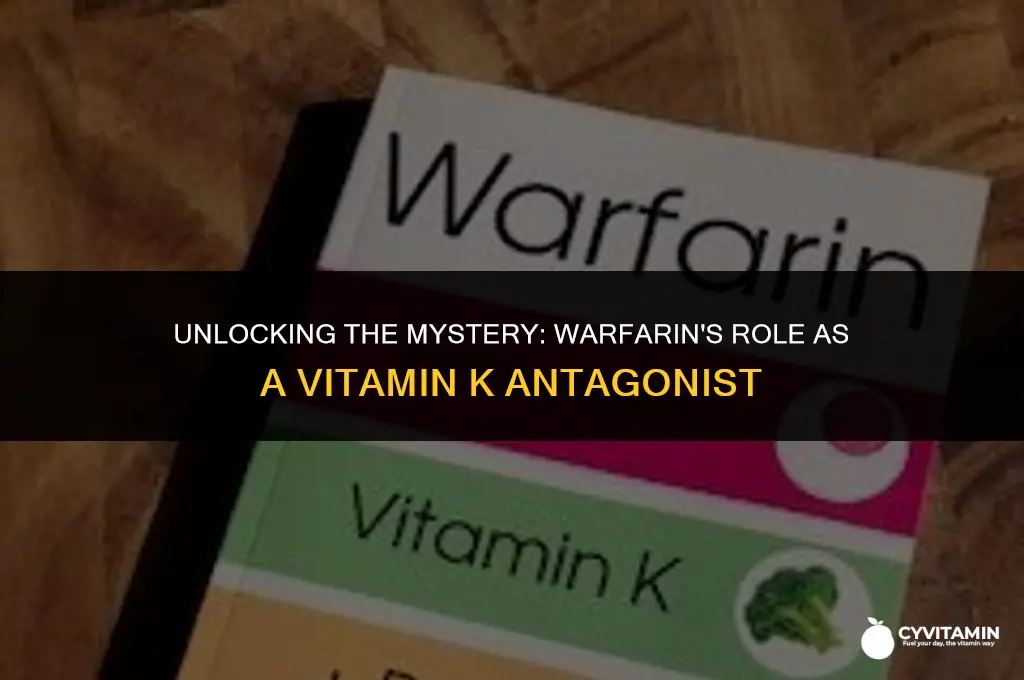is warfarin a vitamin k antagonist