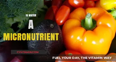 Exploring the Essential Role of Water as a Micronutrient
