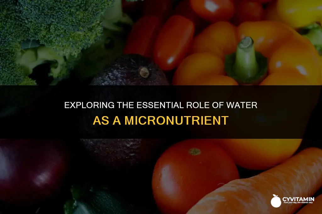 is water a micronutrients