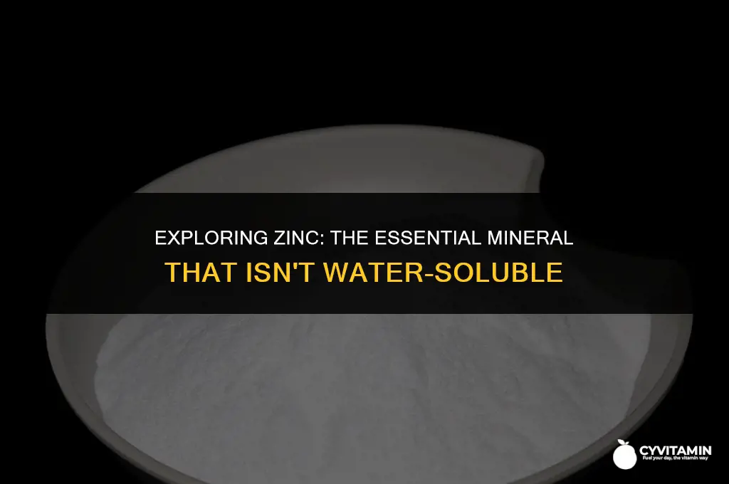 is zinc a water soluble vitamin