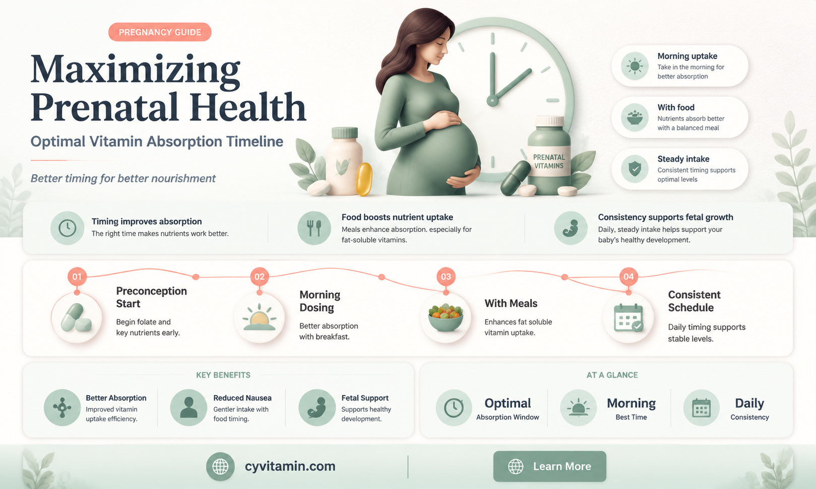 how long does it take to absorb prenatal vitamins
