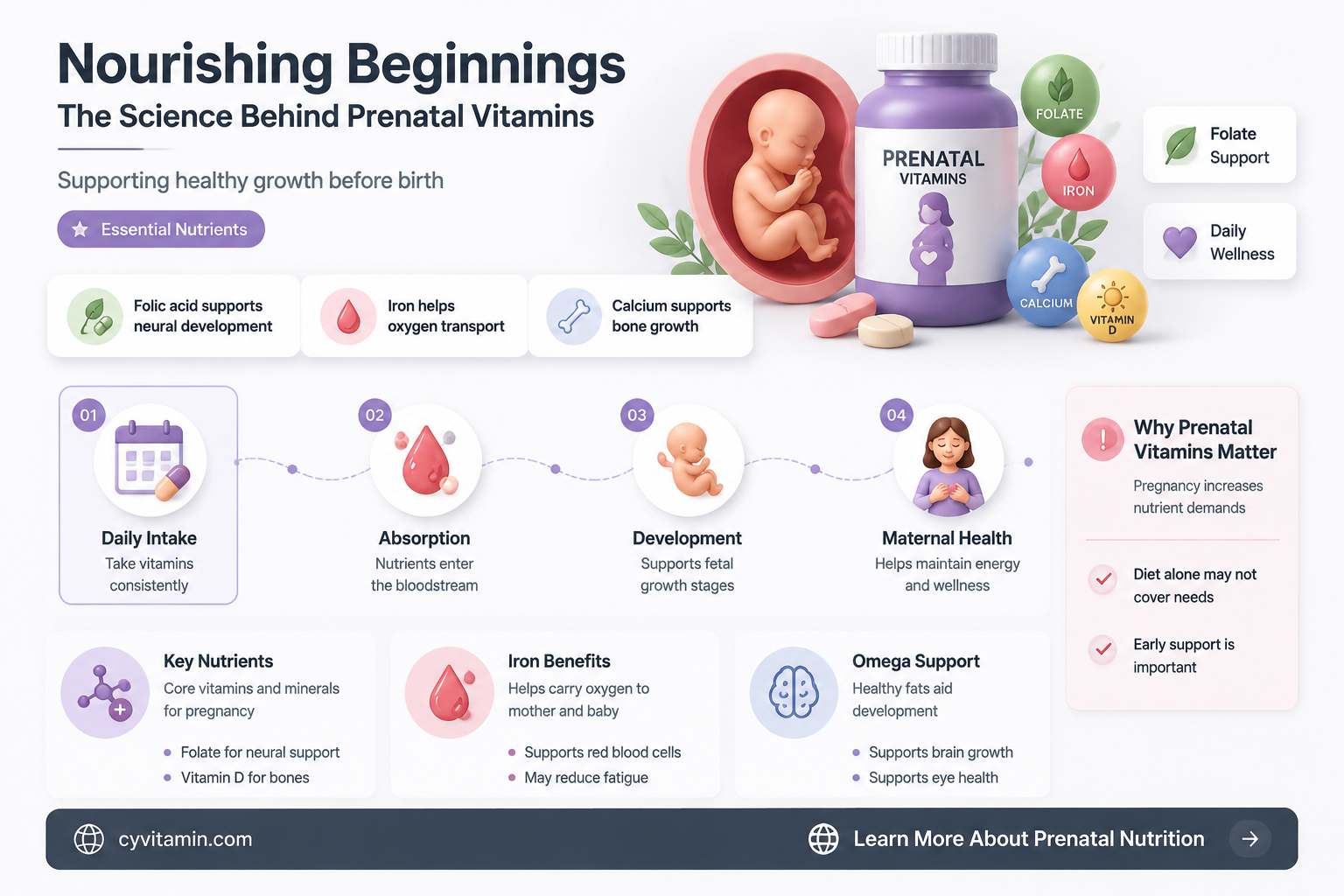 how do prenatal vitamins work