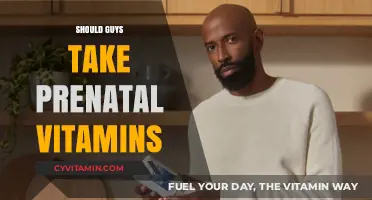Boosting Dad's Health: The Prenatal Vitamin Debate Uncovered