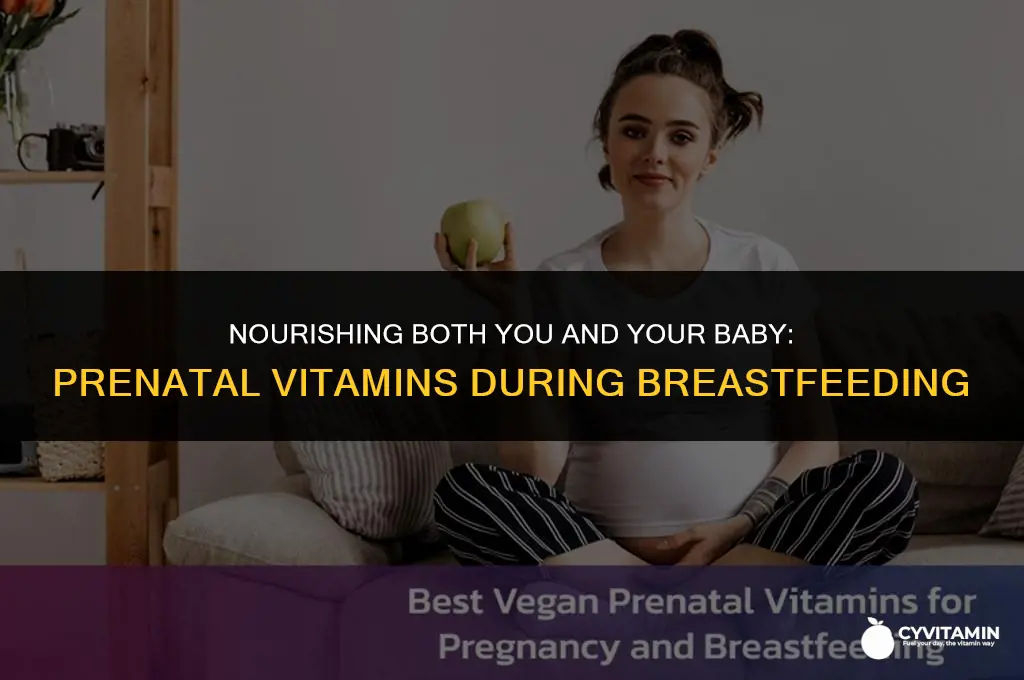 should i keep taking prenatal vitamins while breastfeeding