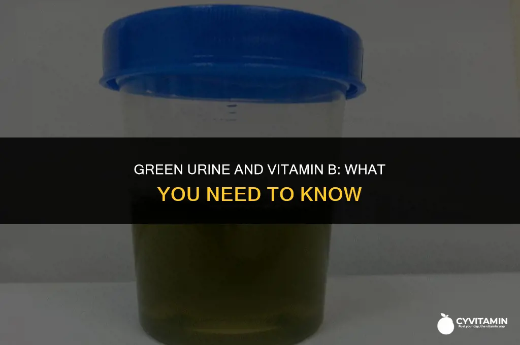 should i stop taking vitamin b if urine is green