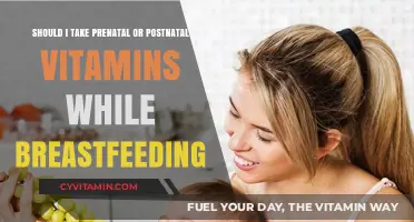 Nourishing Your Journey: Prenatal vs Postnatal Vitamins for Breastfeeding Moms
