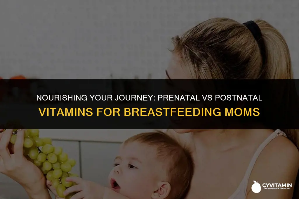 should i take prenatal or postnatal vitamins while breastfeeding
