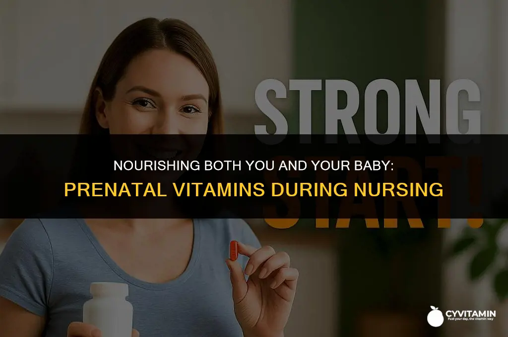 should i take prenatal vitamins while nursing