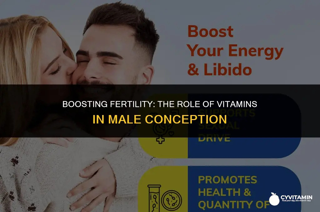 should men take vitamins when trying to conceive