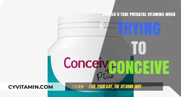 Boosting Fertility: The Benefits of Prenatal Vitamins When Trying to Conceive