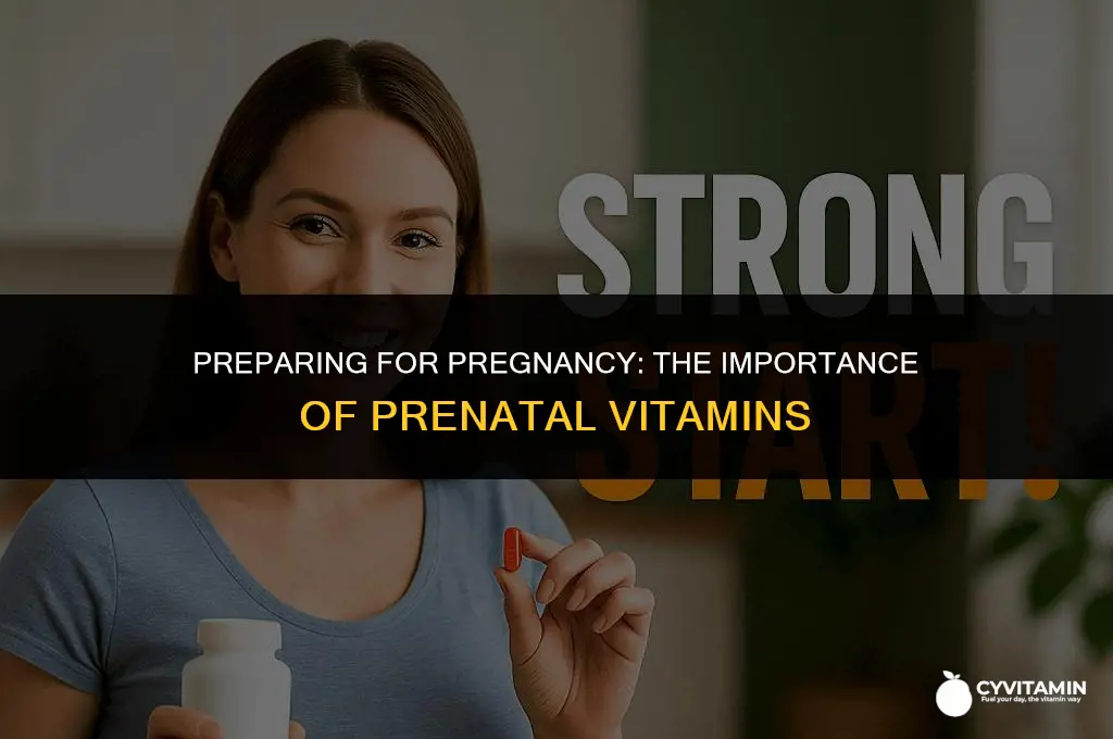should you start prenatal vitamins before getting pregnant