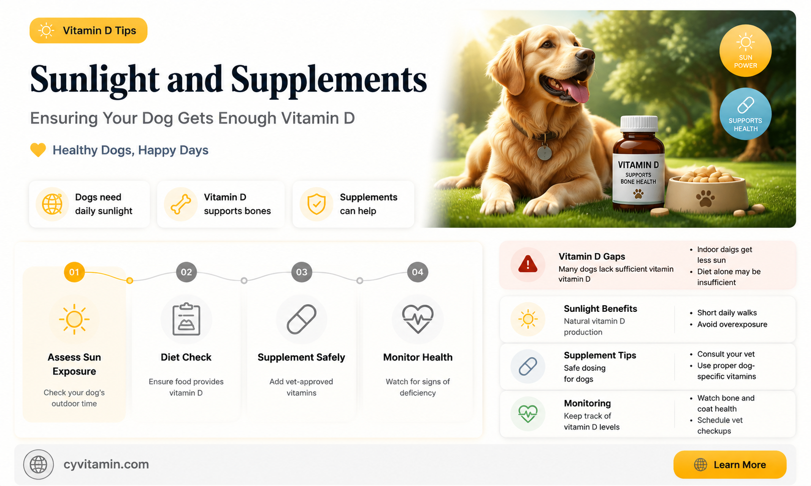 how do dogs get vitamin d