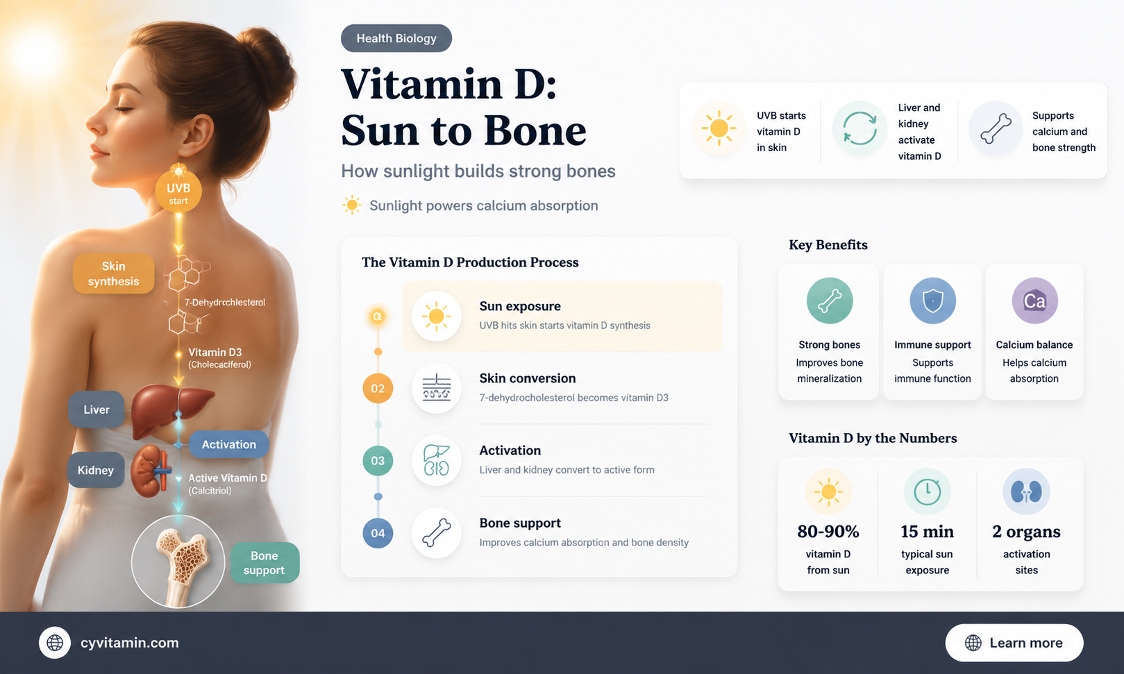 how is vitamin d made in the body