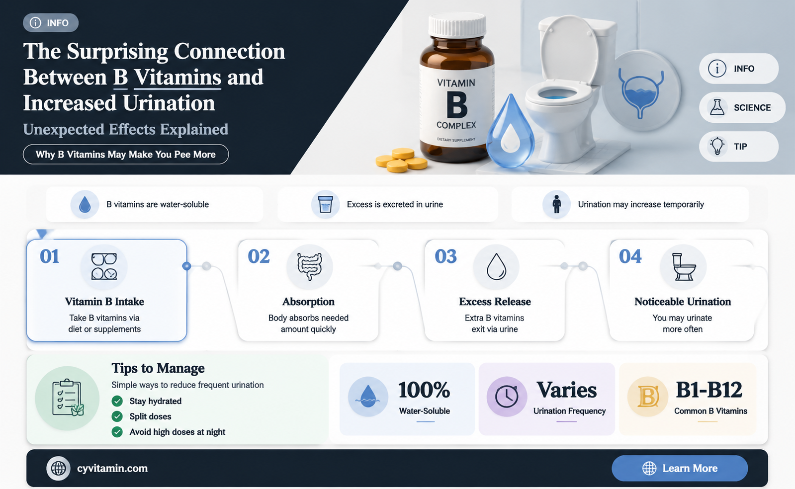does b vitamins make you pee more