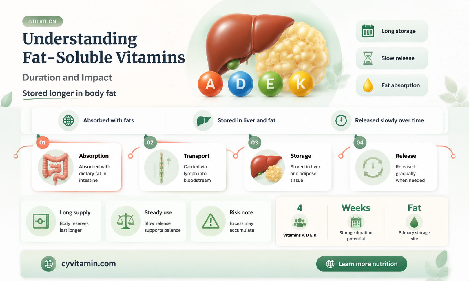 how long do fat soluble vitamins stay in the body