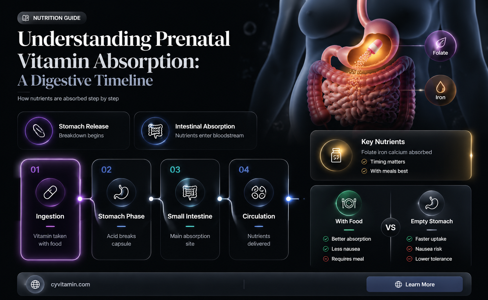 how long does it take for prenatal vitamins to digest