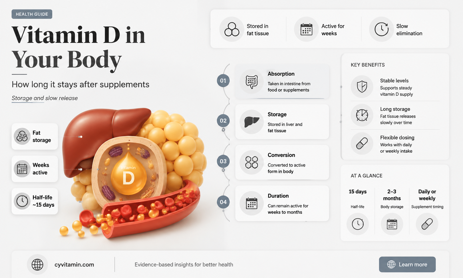 how long does vitamin d supplement stay in your system