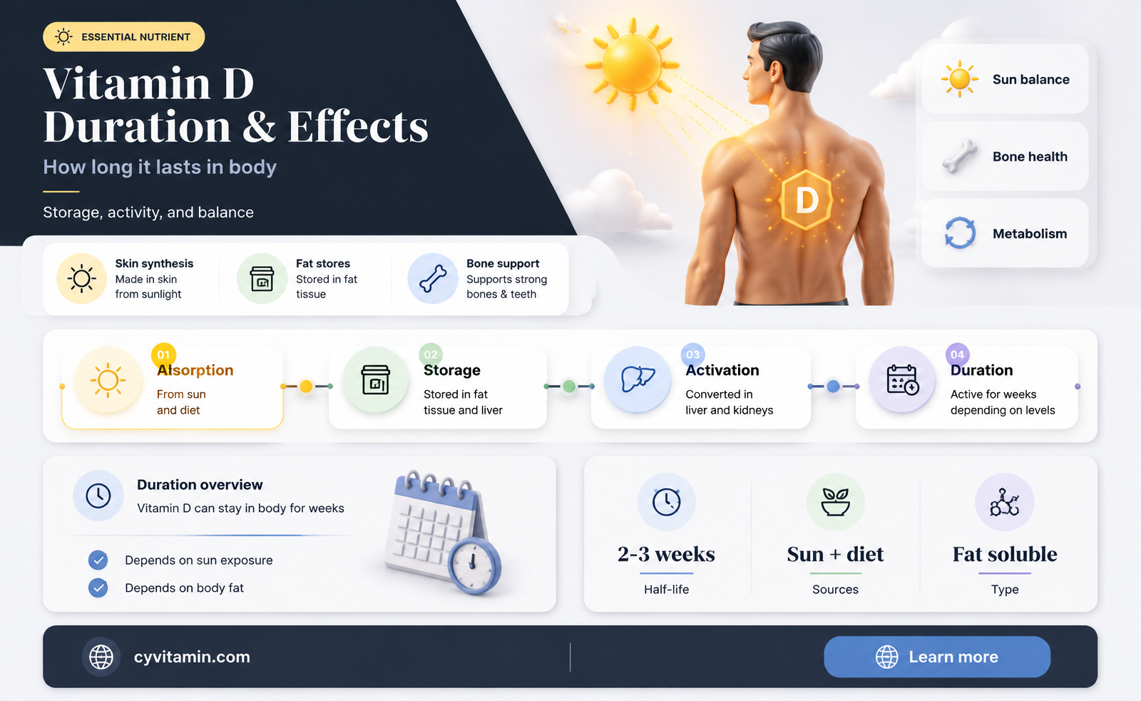how long does vitamin d stay in body