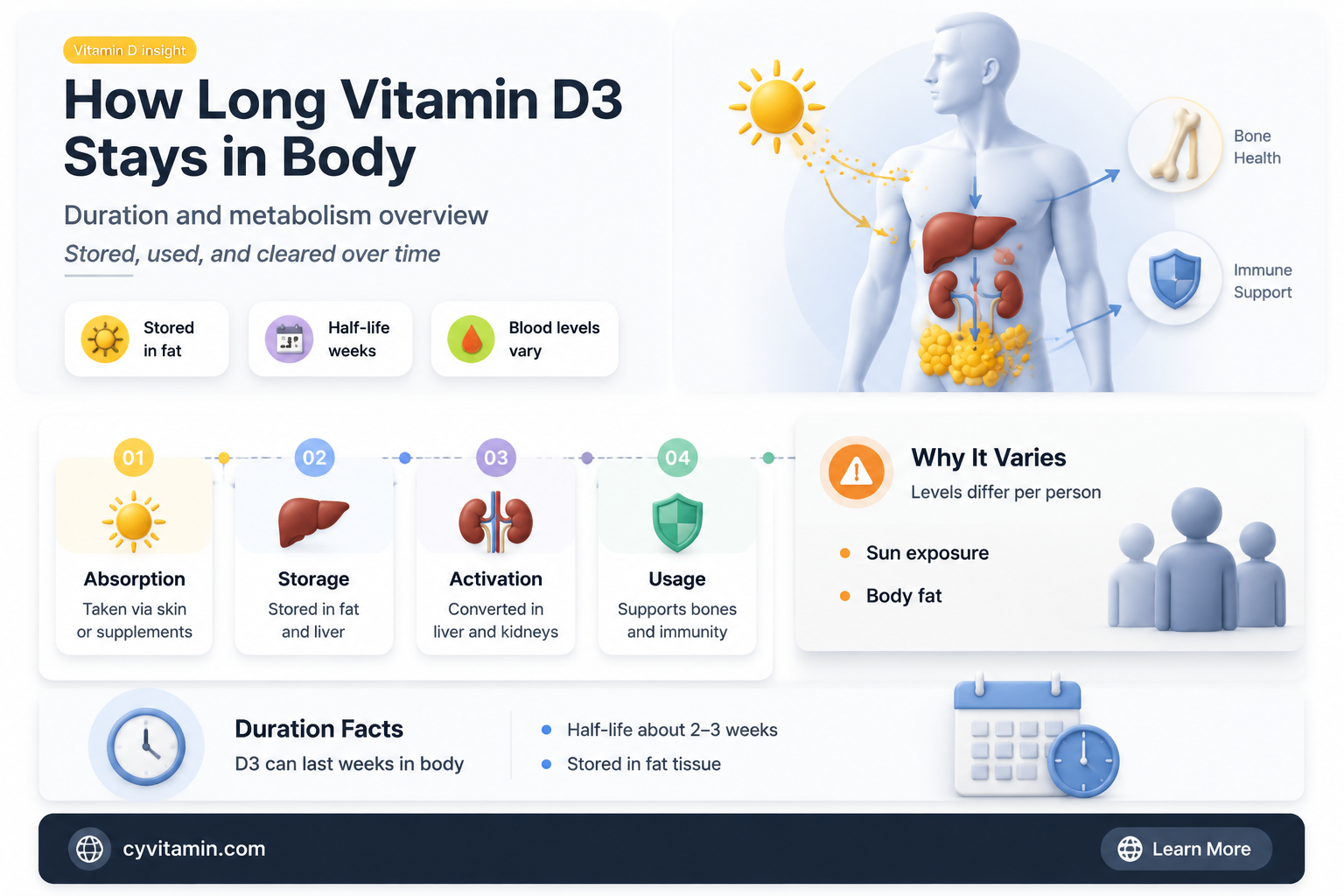 how long does vitamin d3 stay in your system