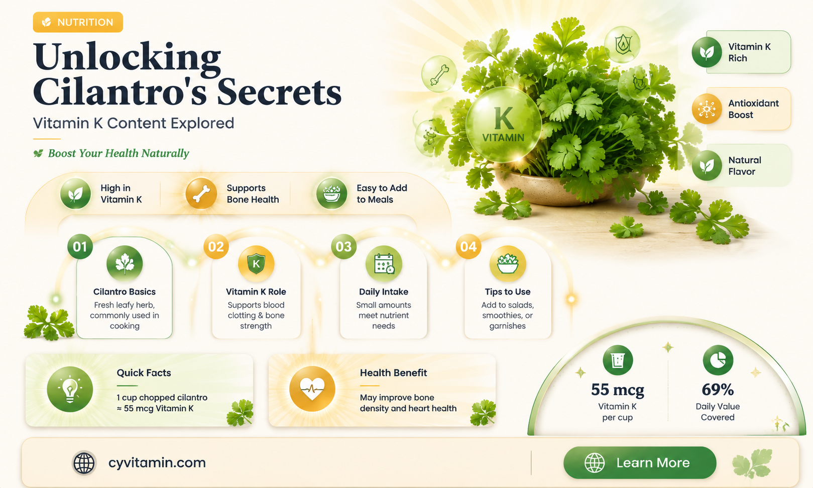 does cilantro have vitamin k