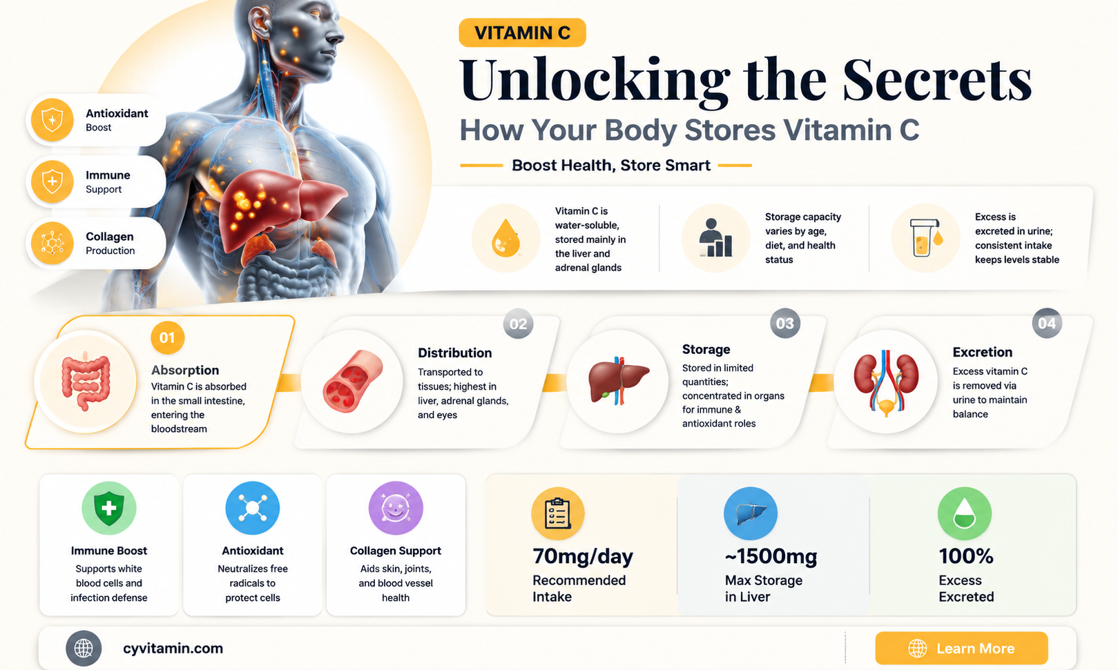 does body store vitamin c