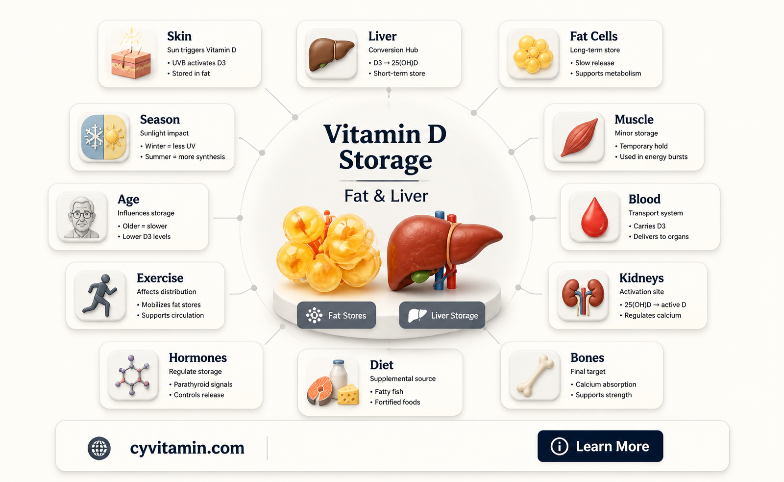 can body store vitamin d