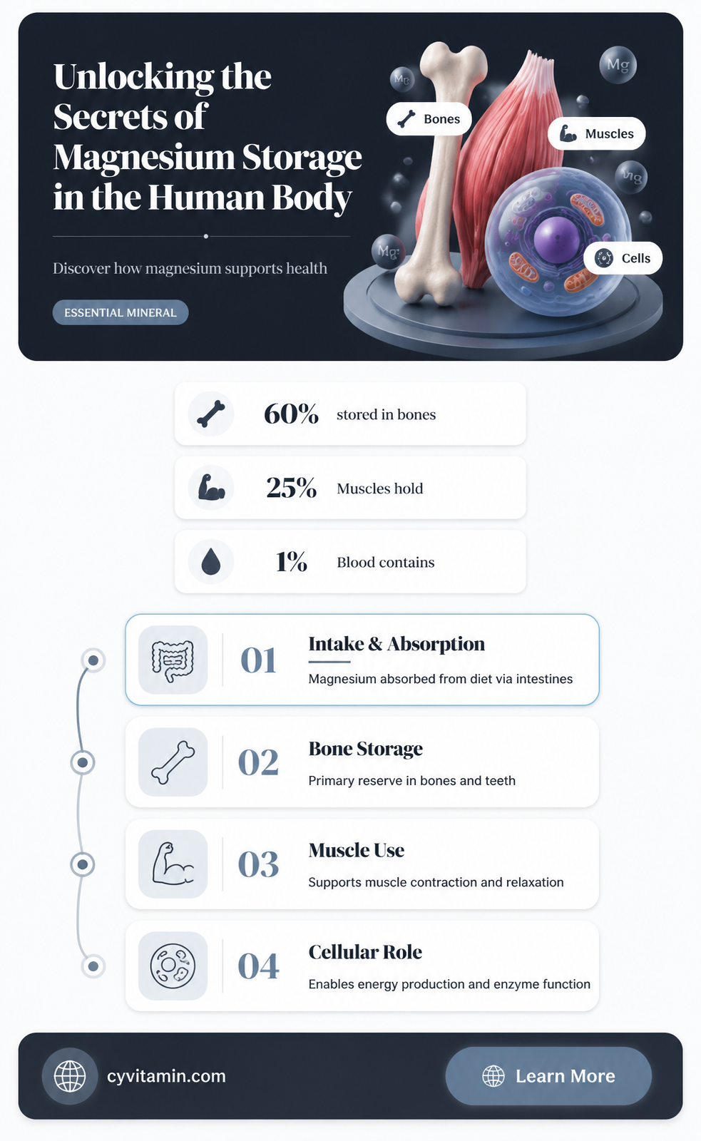 does body store magnesium