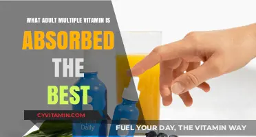 Top Adult Multivitamins for Optimal Absorption and Health Benefits