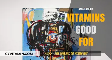 Unlocking the Power of B2 Vitamins: Benefits and Sources