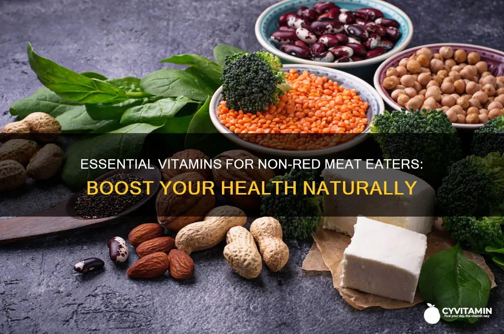 what are best vitamins if i dont eat res meat