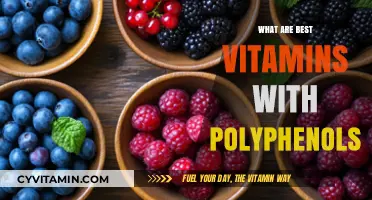 Top Vitamins Rich in Polyphenols for Optimal Health and Wellness