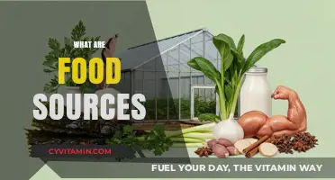 Exploring Nature's Bounty: A Guide to Diverse Food Sources