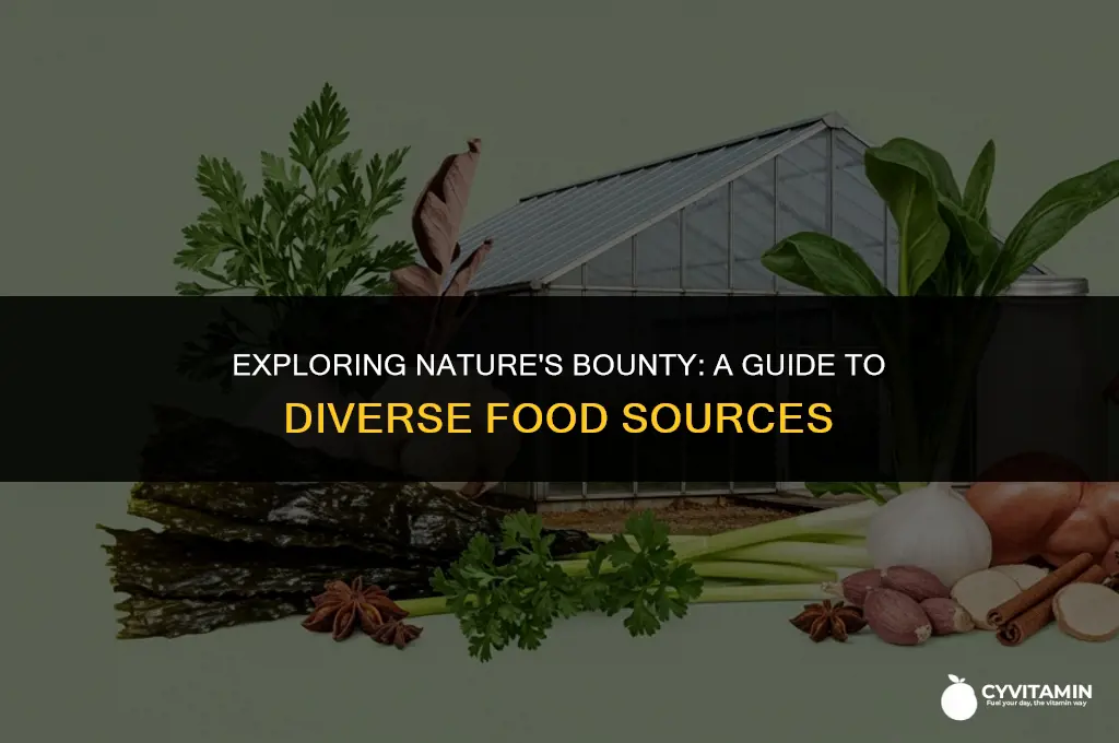 what are food sources