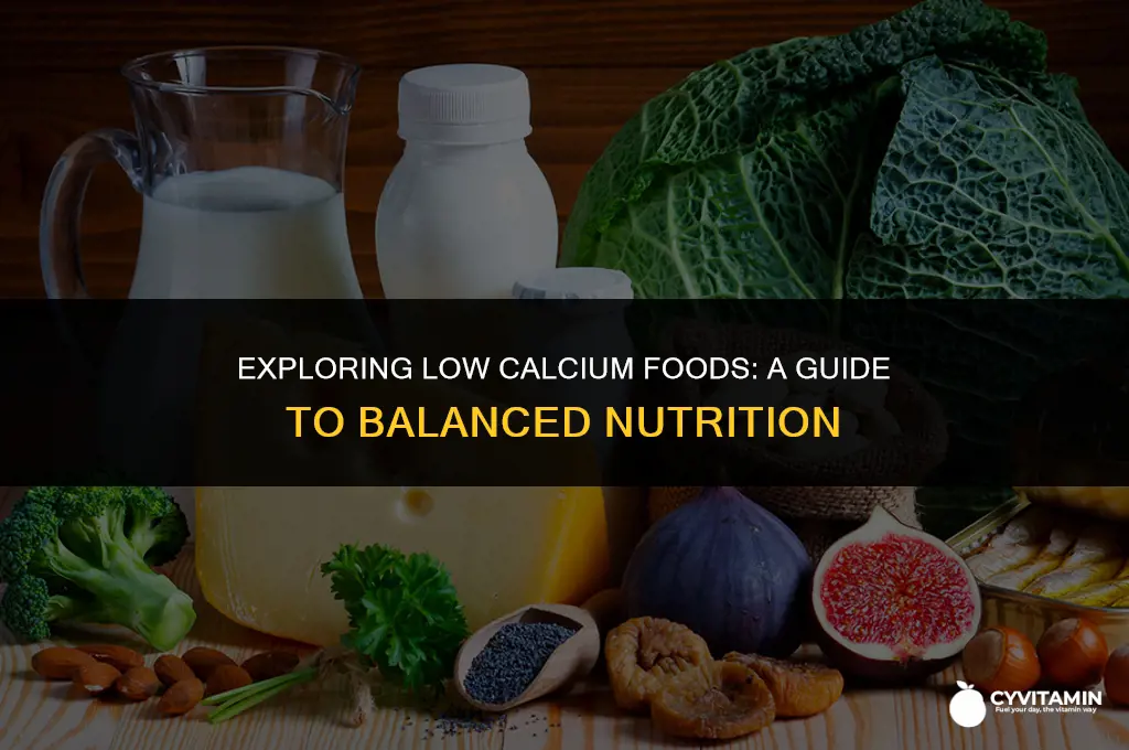 what are low calcium foods