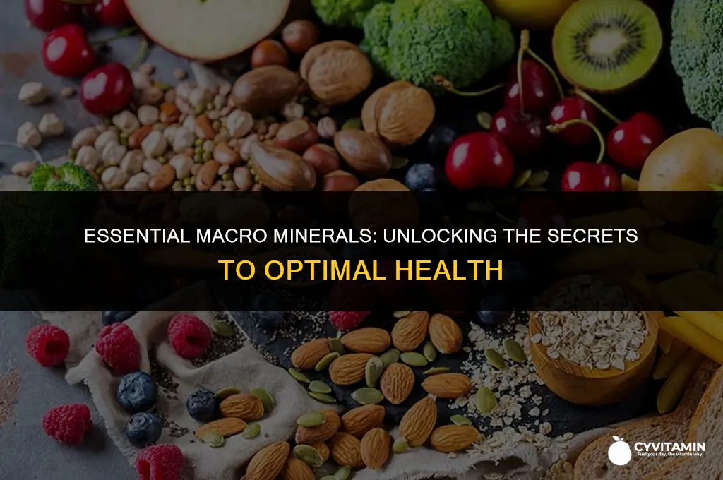 what are macro minerals