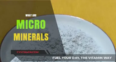 Unlocking the Power of Micro Minerals: Nature's Tiny Nutrients