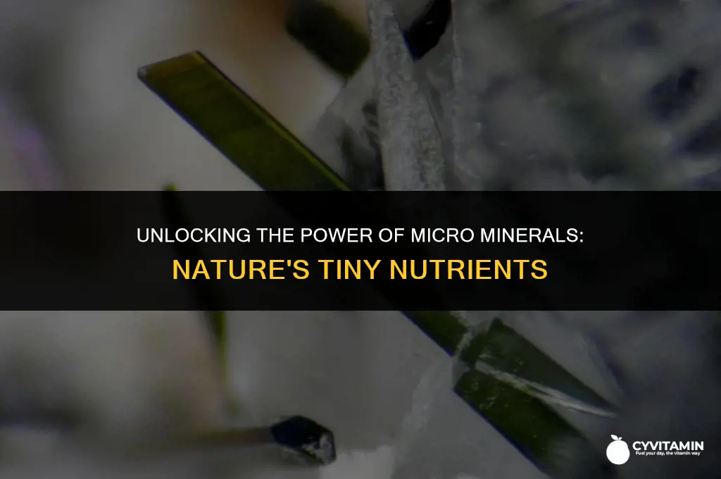 what are micro minerals
