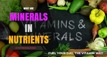 Unlocking the Essentials: A Guide to Minerals in Nutrients