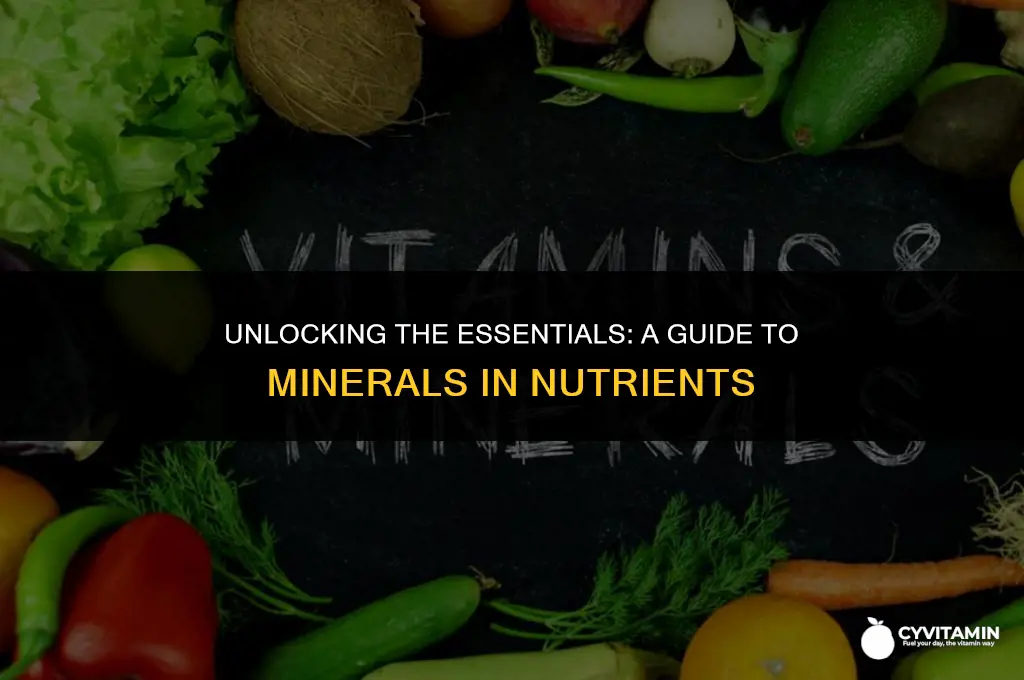 what are minerals in nutrients