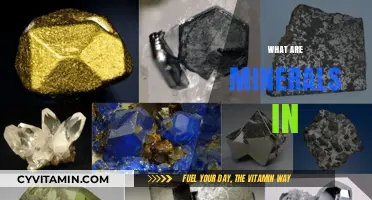 Exploring the Essentials: What Are Minerals In?