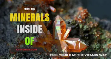 Unveiling the Hidden World: What Are Minerals Inside Of?
