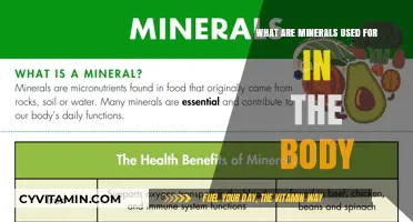 Essential Minerals: Unlocking Their Vital Roles in Human Health
