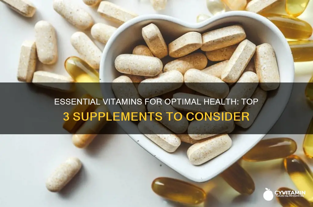 what are the 3 best vitamins to take