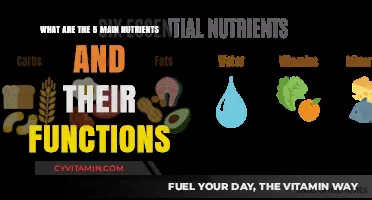 Essential Nutrients: Unlocking the Secrets to Optimal Health