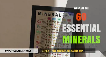 Unlocking Nature's Building Blocks: A Guide to Essential Minerals