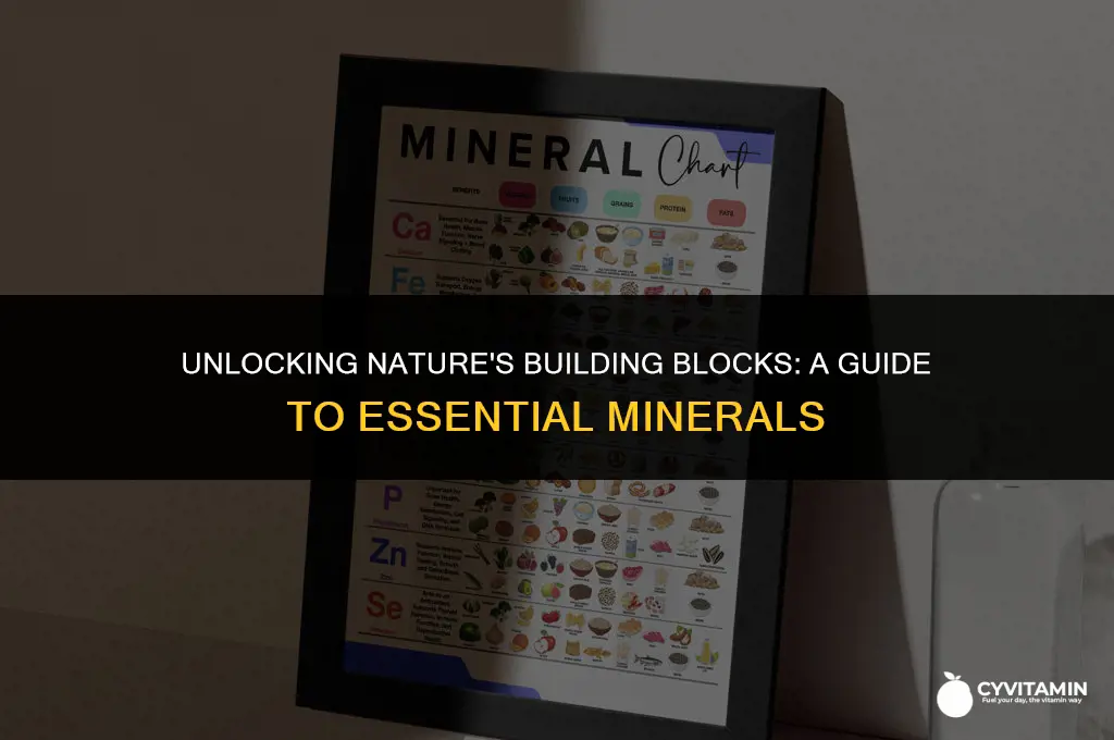 what are the 60 essential minerals