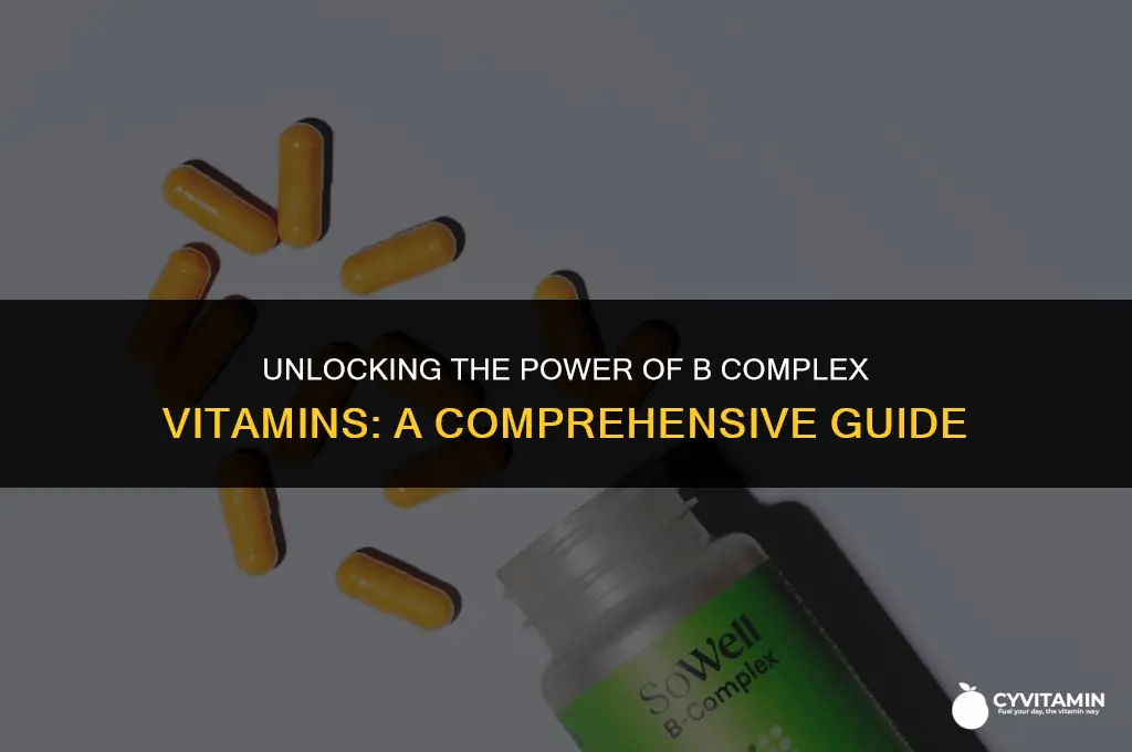 what are the b complex vitamins
