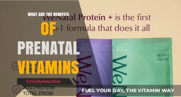 Nourishing Beginnings: The Essential Benefits of Prenatal Vitamins