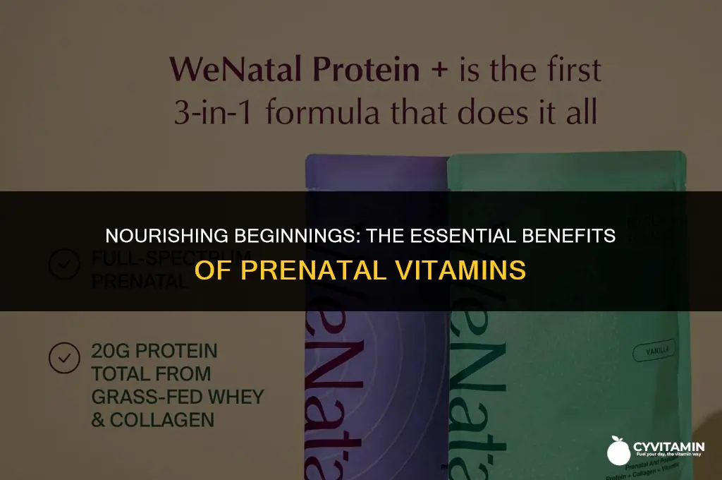 what are the benefits of prenatal vitamins