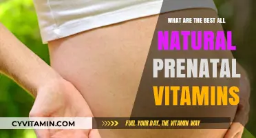 Top Natural Prenatal Vitamins for a Healthy Pregnancy Journey